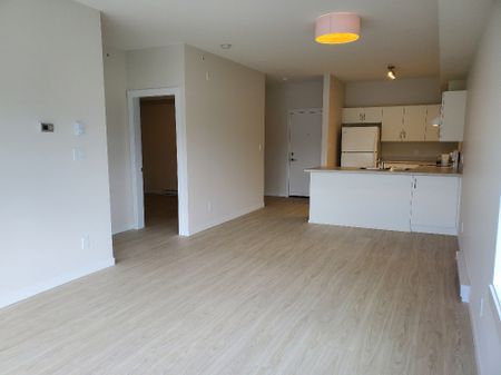 York Apartments - 2 Bed #305 - Photo 4