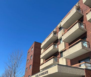 beau condo 4 ½ à louer - Ahuntsic - proche de transport commun, cég... - Photo 3