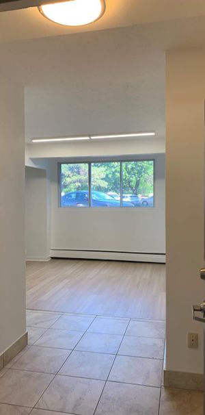 1 CH - 1 SDB - Montréal - $1,295 /mo - Photo 1