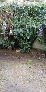 Location Appartement 1 pièce 18m² NANTES 44000 - Photo 3