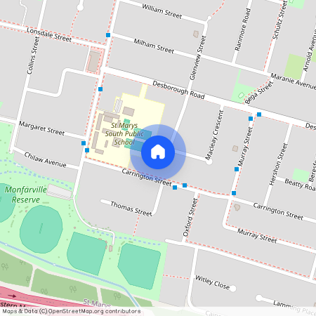 19 Macleay Crescent, St Marys 2760, New South Wales