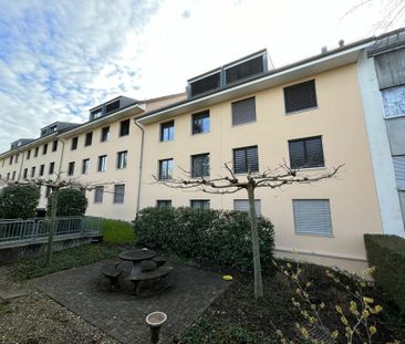 Unmittelbar zur Grenze Riehen - gemütliche 3 1/2-Zimmerwohnung in R... - Foto 1