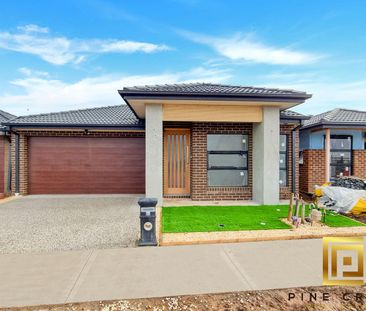 Grab it before its gone..! - Photo 4