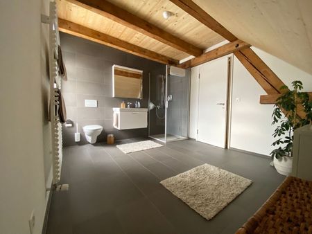 21/2-ROOM APARTMENT IN ALTDORF (UR), FURNISHED, TEMPORARY - Photo 5