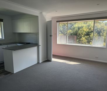 2/24 Garden Grove Pde, Adamstown Heights, NSW 2289 - Photo 6