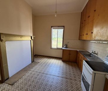 Farm Property - Photo 5