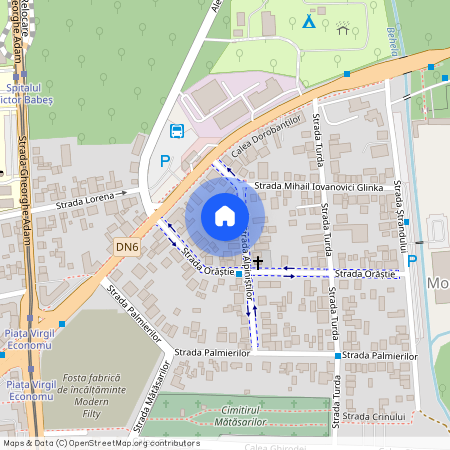 Timis, Timisoara
