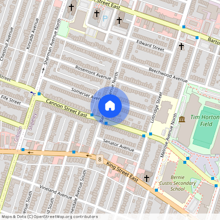 42 Barnesdale Avenue Unit# Lower Level, Hamilton