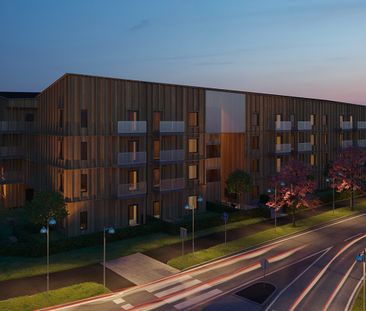 Gustaf Janzéns gata, Norrköping - Foto 5