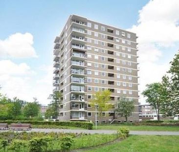 Dignaland 2591 's-Gravenhage - Photo 2