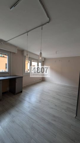 Location appartement 3 pièces 77.08 m² à Thonon-les-Bains (74200) - Photo 2