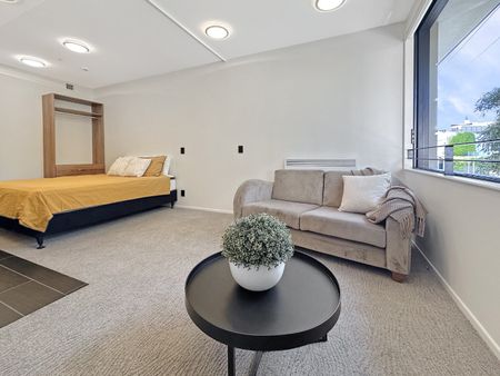 Welcome to apartment 208 in Kriza Apartments - Photo 3