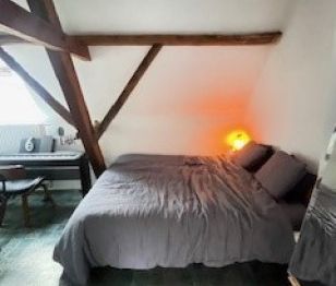 Appartement met 1 slaapkamer, hartje GENT - Foto 3