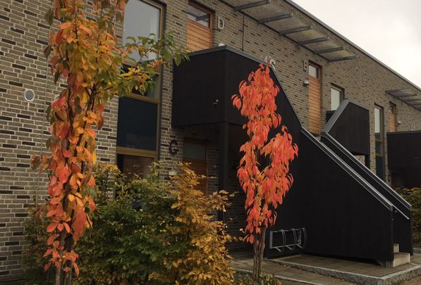 Edwin Berlings gata 44C - Photo 1