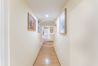 Flat for rent in Ciudad Universitaria