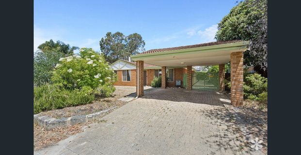 Prime Location! - Photo 1