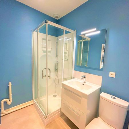 Location Appartement 2 pièces 43m² BOURGUEIL 37140 - Photo 3