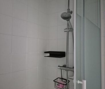 Location Appartement 1 pièce 18m² VILLENEUVE D ASCQ 59491 - Photo 4