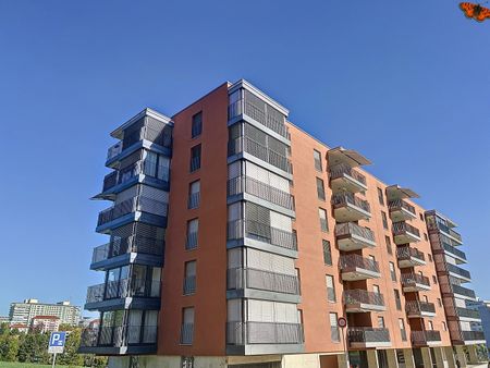 2 ½ ROOMS – Top Floor! - Photo 4