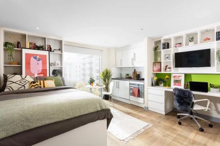 Medium High Double Studio - Photo 5