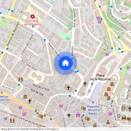 Avenue Alexandre-Vinet 7, 1004, Lausanne