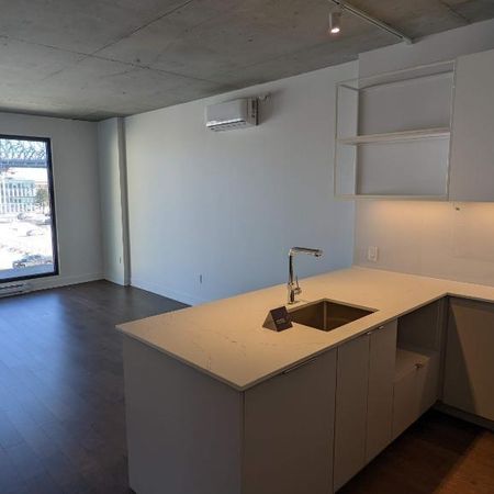 🏙️ Magnifique condo 3 ½ à Montréal – Métro Papineau – Disponible mi ou fin août 🏡 - Photo 4