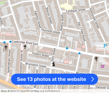 Cowbridge Road East, Canton, Cardiff - Photo 1