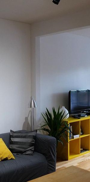 Magnifique 3 ½ ensoleillé à aire ouverte entièrement meublé - Photo 1