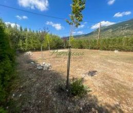 Μεζονέτα για ενοικίαση - Αράχωβα, - Φωτογραφία 3
