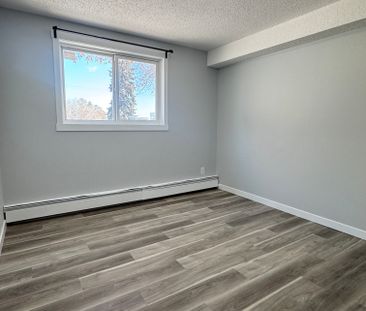 Modern and Spacious 2-Bedroom Apartment - SMALL PET FRIENDLY! - Photo 3