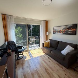 Condo meublé à louer / furnished condo for rent - Photo 2