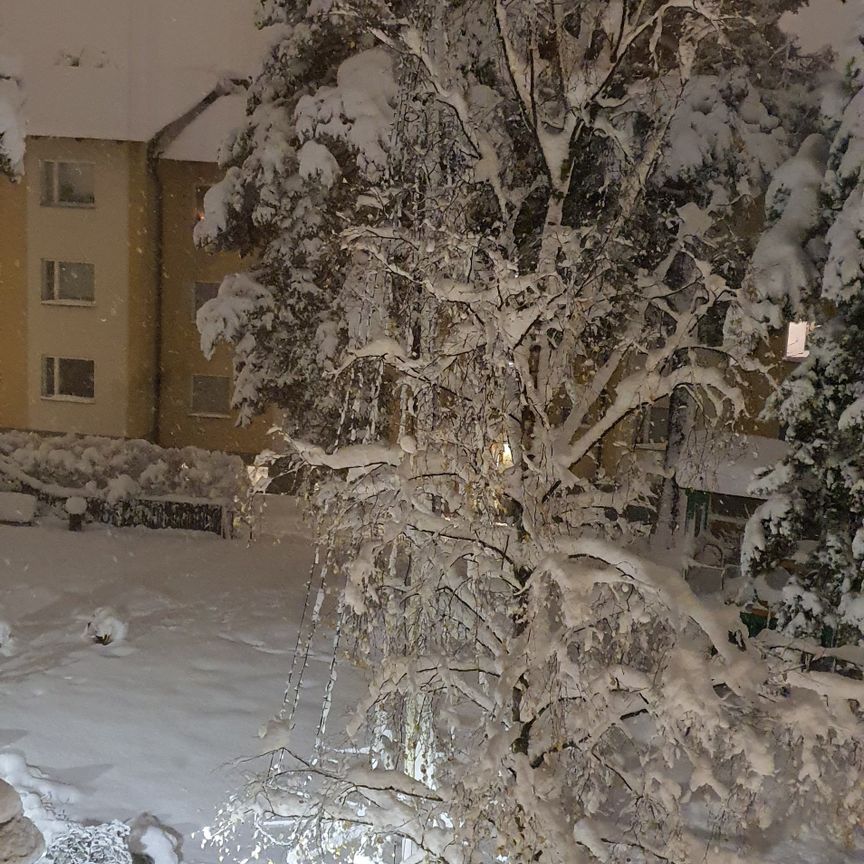 Stövargatan, Bandhagen - Photo 2