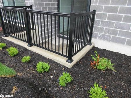 For Lease - 681 Yonge Street Unit# 103, Barrie, Ontario - Photo 4