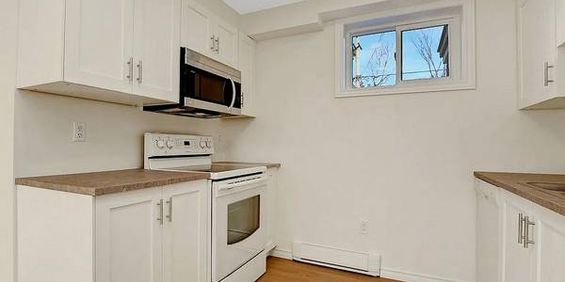 Brand new City approved lower One bedroom unit with soundproofing. - Photo 3