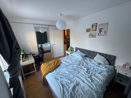 Trädgårdsgatan, Kalmar - Foto 3