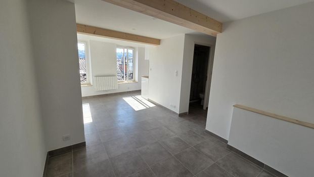 Location Appartement 1 pièce 27m² VIENNE 38200 - Photo 1