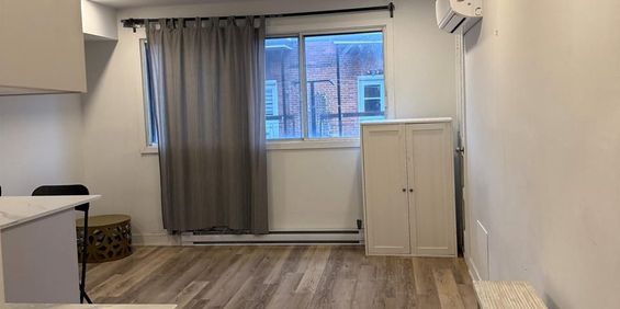 1 CH - 1 SDB - Montréal - $1,195 /mo - Photo 3