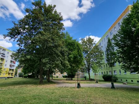 Ernst-Hermann-Meyer-Straße 7 - Photo 3