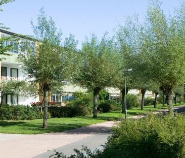 Stensjögatan 38, Bellevuegården - Foto 5