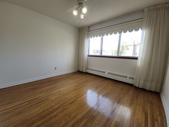 8116 Rue de Mirepoix - Photo 1