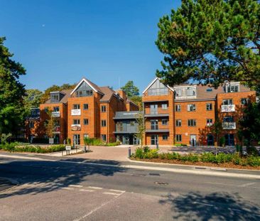 1 bedroom retirement property to rent - Photo 5