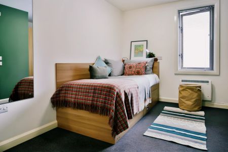 Classic Shared Apartment - Photo 2