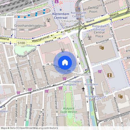 Oude Westen, 3014 AH, Diergaardesingel, Rotterdam