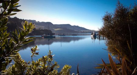 Port Chalmers Apartment - Photo 3