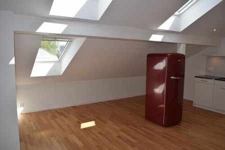 Exklusive Single-Loftwohnung im Dachgeschoss - Foto 3