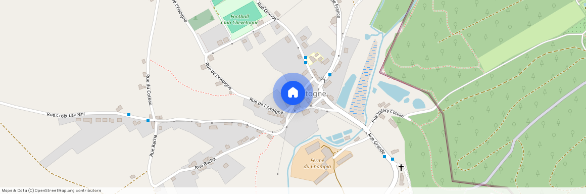 Rue de l'Ywoigne 27 c, 5590 Chevetogne