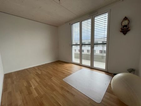 LE TICLE : Appartements neufs à louer - Foto 2
