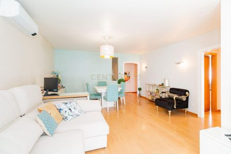 Santa Eufémia e Boa Vista, Leiria District - Photo 5