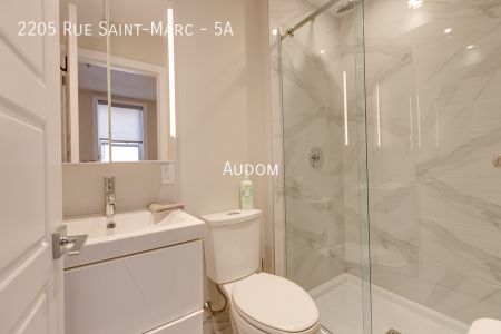 2205 Rue Saint-Marc - 5A - Photo 3