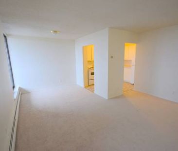 1-Bedroom Apartment Available February 1st at Gilboa Apartments - Photo 4